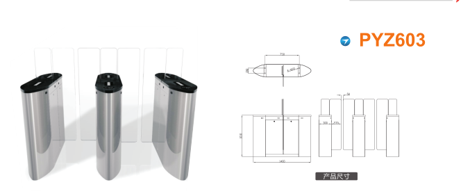 珠海高新区平移闸PYZ603